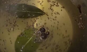 După acest timp, turnați apa din borcane printr-un capac special în tigaie. Dizolvați în ea cantitatea de sare și zahăr indicată în rețetă, adăugați condimente și gătiți câteva minute. Apoi turnați oțet de masă în marinată și opriți imediat focul.