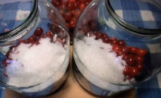 Ilagay ang mga berry sa inihandang garapon. Magdagdag ng asukal at magdagdag ng sitriko acid.