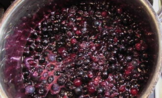 Pakuluan at lutuin ng mga 15-20 minuto. Pagkatapos ay tinanggal namin ang bula. Bawasan ang init sa mababang at ipagpatuloy ang pagluluto ng jam, pagpapakilos paminsan-minsan, hanggang sa lumapot ito at magkaroon ng pare-parehong halaya. Humigit-kumulang 10 minuto.