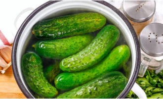 We wassen de groenten grondig en prikken ze in met een vork of mes, dopen ze in hete pekel en oefenen druk uit. Laat 24 uur staan. We wassen de groenten grondig en prikken ze in met een vork of mes, dopen ze in hete pekel en oefenen druk uit. Laat 24 uur staan.