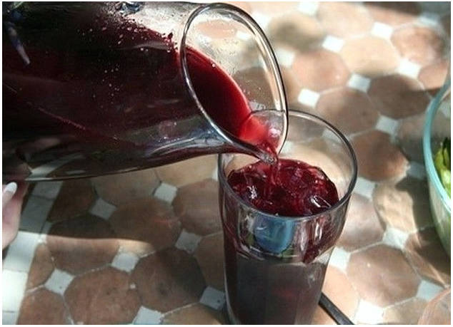 Kamperfoeliecompote voor de winter