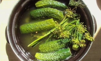 Để dưa chuột trong một ngày ở nhiệt độ phòng. Sau thời gian này, làm nguội nhanh dưa chuột muối nhẹ trong nước muối trong 1 lít nước và dùng. Chúc ngon miệng!