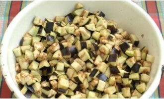 Laten we aubergines met paprika bereiden voor de winter. Om van de bitterheid af te komen, snijd je de aubergines in blokjes en zout, laat ze ongeveer een half uur staan.