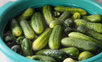 Om komkommers in een pot als vaten voor de winter te bereiden, moet u de groenten in koud water laten weken. Hierdoor blijft de snack sappig en knapperig. Het duurt 3-6 uur, je kunt het een nacht laten staan.