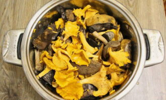 Maingat naming sinusuri ang mga kabute at inaalis ang mga nasirang specimen, pati na rin ang mga labi ng kagubatan. Hugasan ang mga mushroom nang lubusan sa pamamagitan ng paglalagay sa kanila sa isang colander. Hinihintay namin na maubos ang labis na tubig, at pagkatapos ay ilipat ito sa isang makapal na pader na kawali at punuin ito ng tubig upang masakop nito ang mga kabute.