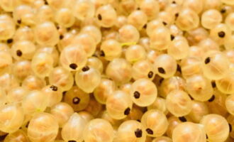 Pinag-uuri namin ang mga currant at hugasan nang lubusan.