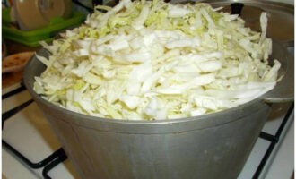 Đặt bắp cải vào nồi cùng với cà rốt. Đun nhỏ lửa cho đến khi bắp cải lắng xuống.