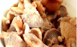 Palamigin nang bahagya ang mga mushroom at itapon sa isang colander.
