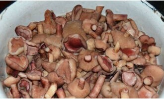 Salain ang mga mushroom sa pamamagitan ng isang salaan.