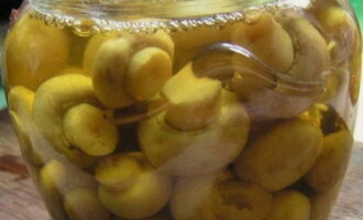 Aboqueu el tractament calent en pots esterilitzats. Tanqueu amb tapes i deixeu refredar completament.
