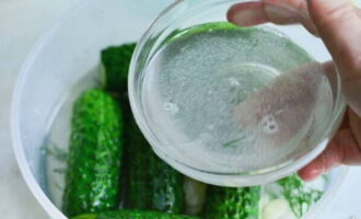 Ibuhos ang solusyon sa mga pipino at iwanan ang paghahanda para sa isang araw sa temperatura ng kuwarto, at pagkatapos ay ilagay ito sa refrigerator.