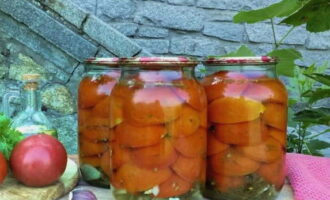 Tomaten met uien en plantaardige olie voor de winter Vingers aflikken klaar. Haal het weg voor opslag. 
