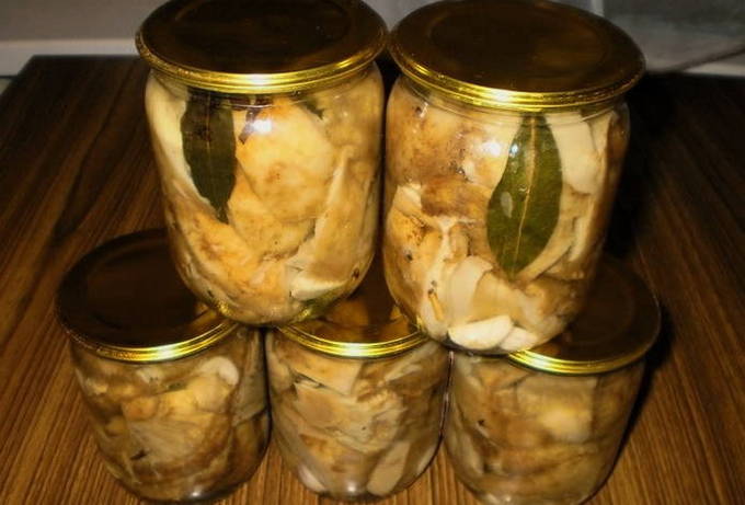 Melkchampignons in potten voor de winter