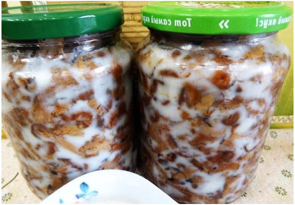 Gebakken champignons voor de winter in potten