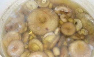 Coure els bolets tres vegades durant 15 minuts, cada cop posant el component sobre un colador i esbandint amb aigua. 