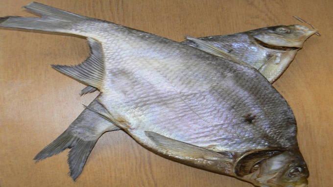 Paano tama ang asin bream