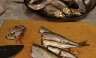 Vi tarmar och rengör fisken, skär av huvudena.