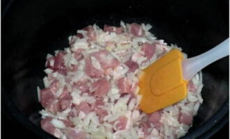 Amestecați carnea de porc și ceapa cu o spatulă.În meniul multicooker, selectați modul Multicook cu o temperatură de 120 de grade. Setați cronometrul pentru 10 minute.