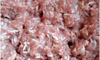 Paghaluin ang tinadtad na karne na may kanin sa pamamagitan ng kamay hanggang sa magkaroon ito ng homogenous texture.