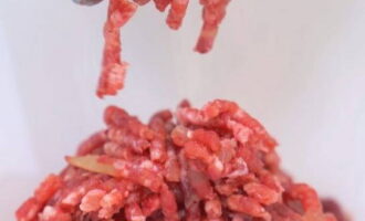 Låt oss förbereda köttfärsen. Du kan ta färdiglagat kött eller mala köttet genom en köttkvarn.