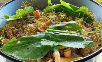 Sa ganitong paraan, ilatag ang lahat ng mga takip ng gatas ng safron sa mga layer at takpan ng mga gulay sa itaas.