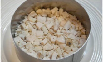 Rasp de harde kaas met een fijne rasp. Om de salade samen te stellen, hebben we een ring met een kleine diameter nodig. Leg de kipfilet in de eerste laag, bestrijk hem met mayonaise en druk hem een ​​beetje aan.