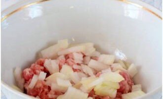 Trong một cái bát sâu lòng, trộn nửa củ hành tây xắt nhỏ với thịt băm.