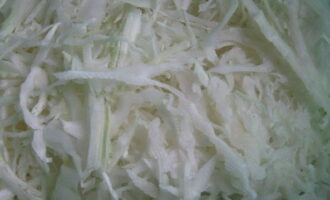 Gestoofde kool in een koekenpan volgens het klassieke recept is heel eenvoudig te bereiden. Schil alle groenten en was ze grondig. Snijd de kool in dunne reepjes.