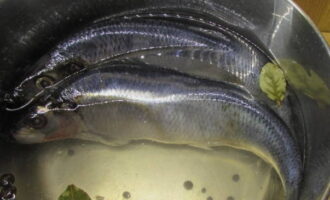 Refredar la salmorra a temperatura ambient i submergir-hi el peix.