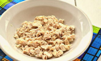 Gupitin ang pinakuluang fillet ng manok sa mga cube at ilagay ito sa isang mangkok bilang unang layer, asin sa panlasa. Ilapat ang mayonesa mesh sa itaas.