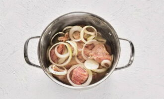Aboqueu aigua de vinagre al recipient amb carn i ceba, barregeu bé amb les mans. Tapeu el recipient amb una tapa i deixeu marinar la carn a la nevera durant almenys 12 hores.