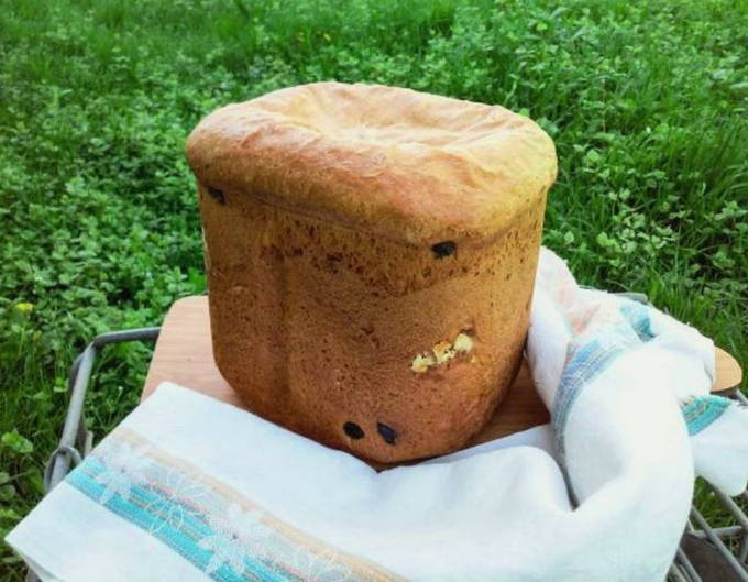 Cupcake i en brödmaskin